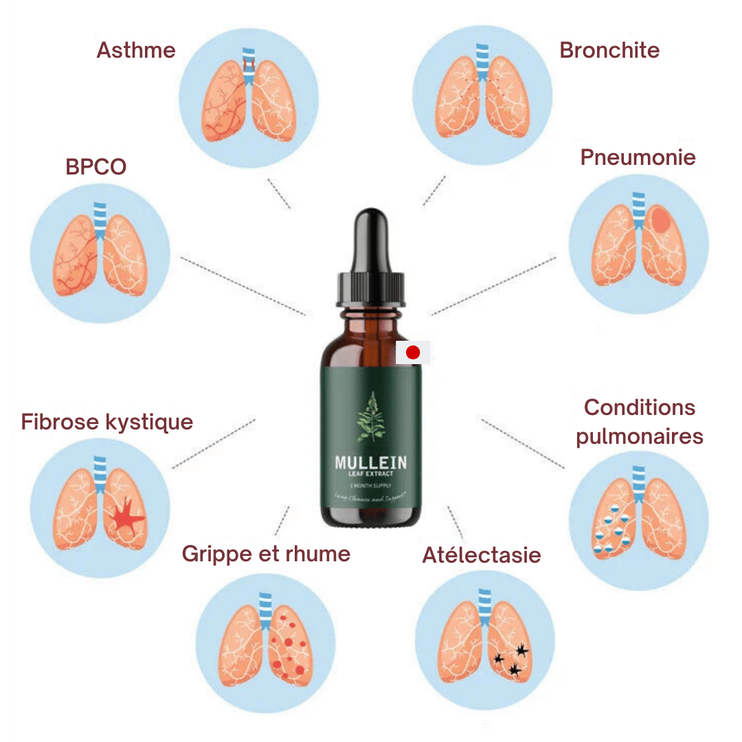 Gouttes de Verveine + Chlorophylle | Détox pulmonaire