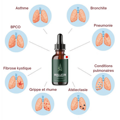 Gouttes de Verveine + Chlorophylle | Détox pulmonaire