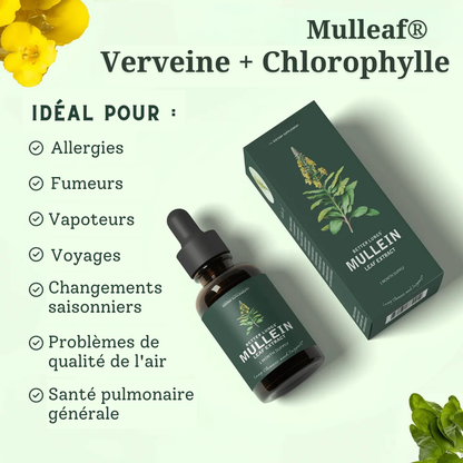 Gouttes de Verveine + Chlorophylle | Détox pulmonaire