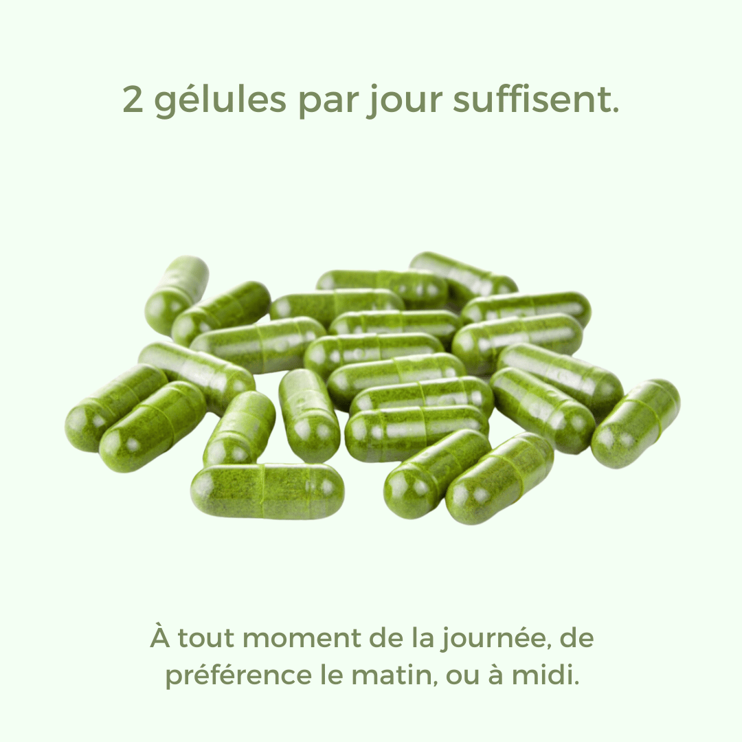 Les Gélules de Poudre de Moringa Mulleaf