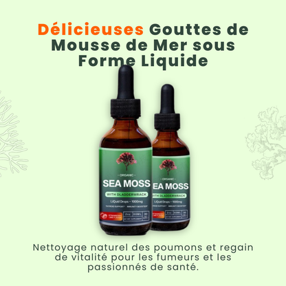 Gouttes de Mousse de Mer - Élixir Marin